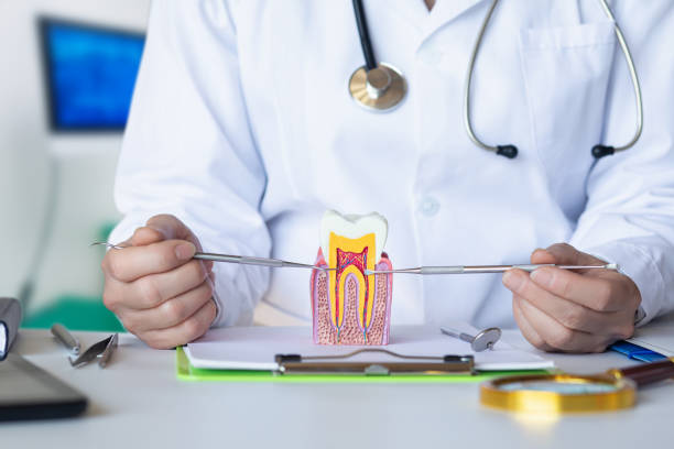 Best Cosmetic Emergency Dentistry in Farmville, NC